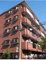 エクロール蓮根