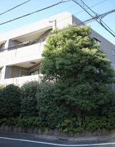 ソサエティオーパスツー