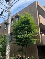 ディアナコート八雲